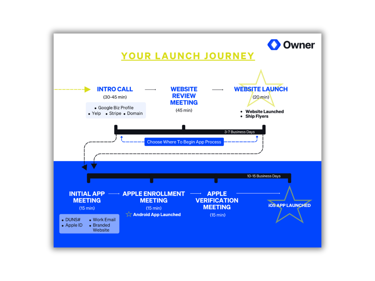 professional-infographic-design